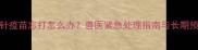 狗狗第三针疫苗忘打怎么办兽医紧急处理指南与长期预防措施全