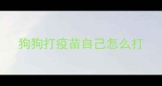 狗狗打疫苗自己怎么打