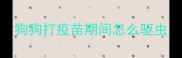 狗狗打疫苗期间怎么驱虫