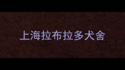 上海拉布拉多犬舍