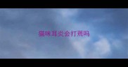 猫咪耳炎会打蔫吗