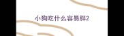 小狗吃什么容易胖