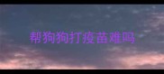 帮狗狗打疫苗难吗
