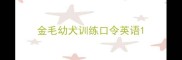 金毛幼犬训练口令英语
