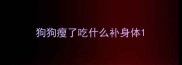 狗狗瘦了吃什么补身体