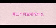 两三个月金毛吃什么