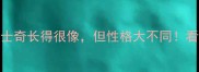 这5种狗狗和哈士奇长得很像但性格大不同看完再养不踩雷