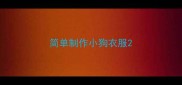 简单制作小狗衣服