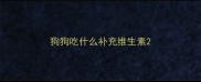 狗狗吃什么补充维生素