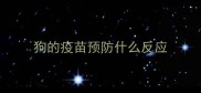 狗的疫苗预防什么反应