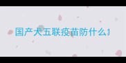 国产犬五联疫苗防什么