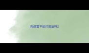 狗感冒不能打疫苗吗