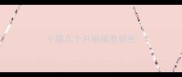 小猫几个月眼睛变颜色