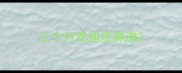 三个月泰迪流鼻涕