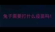兔子需要打什么疫苗吗