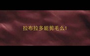 拉布拉多能剪毛么
