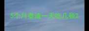 5个月泰迪一天吃几顿