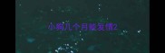 小狗几个月能发情