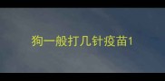 狗一般打几针疫苗