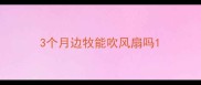 3个月边牧能吹风扇吗