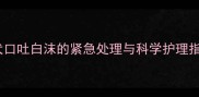 泰迪犬口吐白沫的紧急处理与科学护理指南1