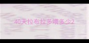 40天拉布拉多喂多少