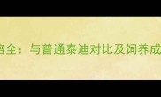 茶杯泰迪价格全与普通泰迪对比及饲养成本深度指南