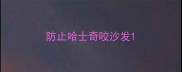 防止哈士奇咬沙发