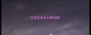 拉布拉多怎么喂鸡蛋