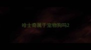 哈士奇属于宠物狗吗