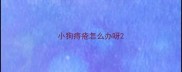 小狗痔疮怎么办呀