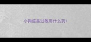 小狗疫苗过敏用什么药