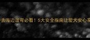 夏季带毛孩子去海边遛弯必看5大安全指南让爱犬安心享受沙滩时光