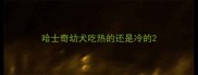哈士奇幼犬吃热的还是冷的