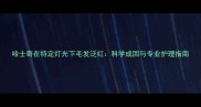 哈士奇在特定灯光下毛发泛红科学成因与专业护理指南
