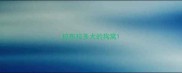 拉布拉多犬的狗窝