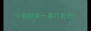 小狗到家一周打疫苗
