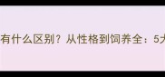 金毛和拉布拉多到底有什么区别从性格到饲养全5大核心差异深度对比