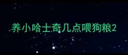 养小哈士奇几点喂狗粮