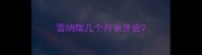 雪纳瑞几个月长牙齿