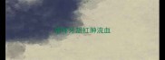 猫咪牙龈红肿流血