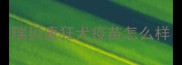 瑞贝康狂犬疫苗怎么样
