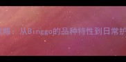 泰迪犬饲养全攻略从Binggo的品种特性到日常护理的必备指南