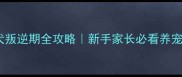 两个月幼犬叛逆期全攻略新手家长必看养宠避坑指南