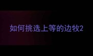 如何挑选上等的边牧
