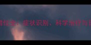 泰迪犬膑骨错位全症状识别科学治疗与日常预防指南