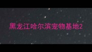 黑龙江哈尔滨宠物基地