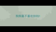 狗狗喜不喜欢铃铛