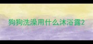 狗狗洗澡用什么沐浴露