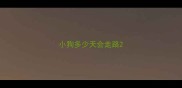 小狗多少天会走路